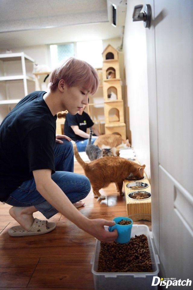 Chan tweet media