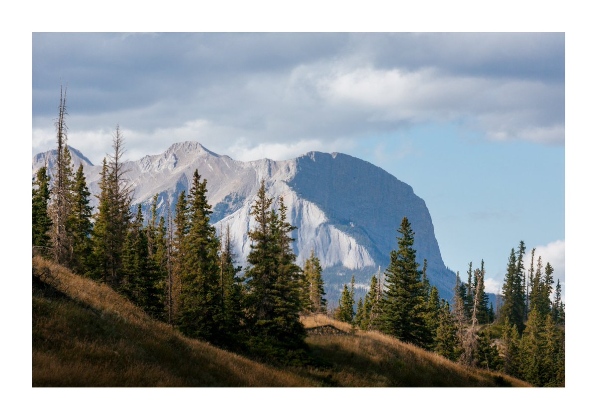 alexstuartallan's tweet photo. A trip through Jasper last fall. https://t.co/4qRSiUNgAX