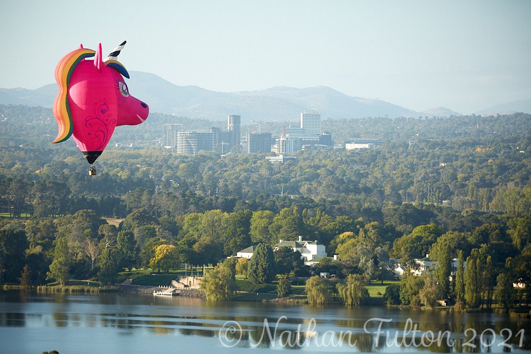 Canberra Balloon Spectacular, hanging out at the National Arboretum Canberra and watching the beautiful balloons grace our skies @enlighten_canberra #Canberra #visitcanberra #australia