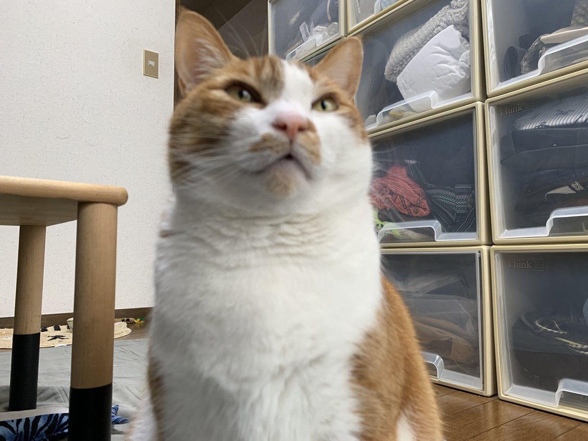 331155san's tweet photo. ◯い https://t.co/YjoTIb05x1