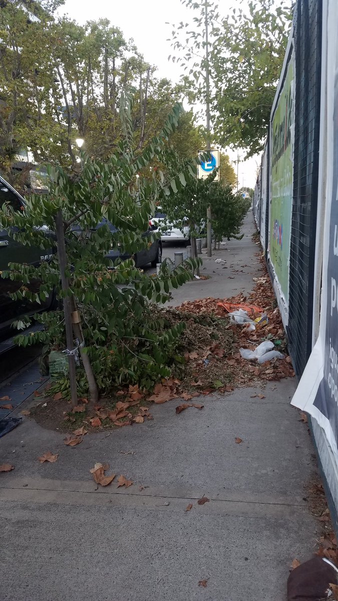 karinawig's tweet photo. @andrespetrillo @HUMVL @reclamo_vecinal Camacua,#Olivos https://t.co/LyStd5PT2S