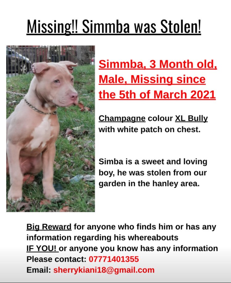 DogCapture's tweet image. Please share #stolen