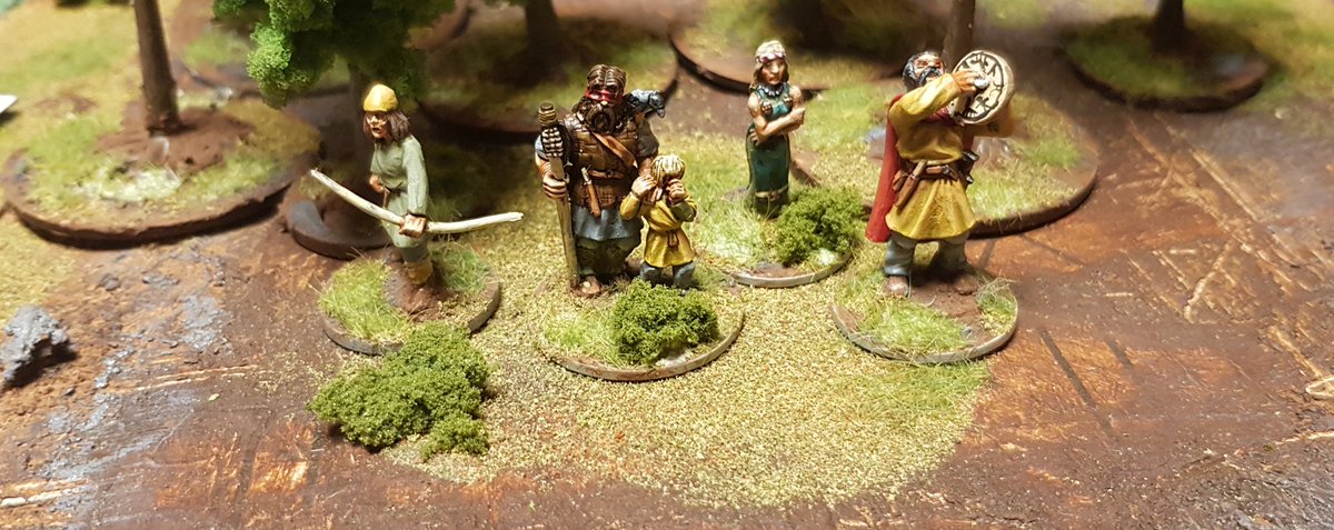 Some new miniatures for my Viking Infamy Infamy ready to go. #spreadthelard #GrippingBeast #FootsoreMiniatures