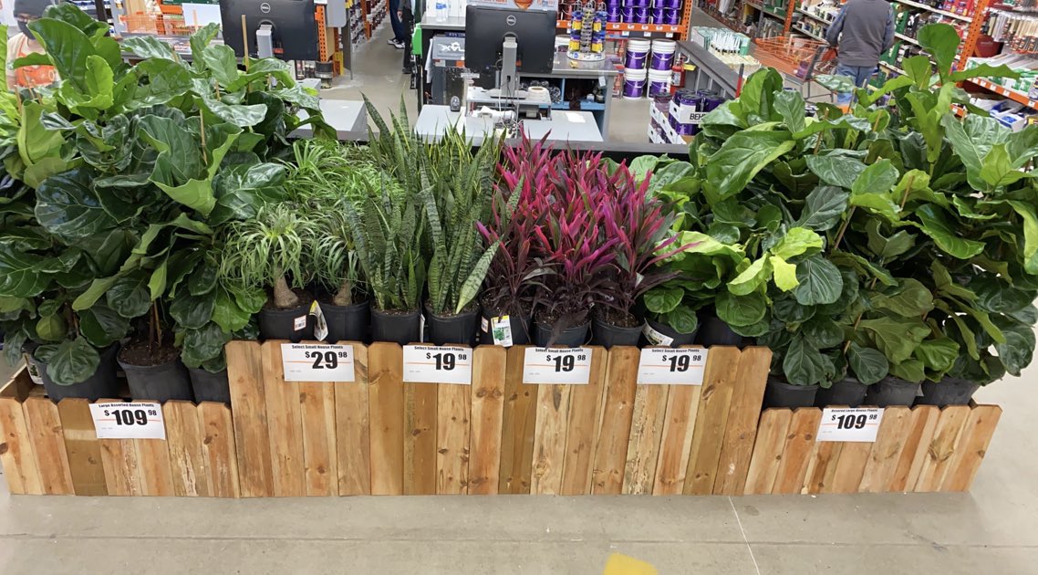 Ashley (@wolff1012016) on Twitter photo 🌿Warmer Weather Has Us Thinking Green🍃<a href="/jeffreyTNyberg/">Jeffrey T Nyberg</a> <a href="/belford_melissa/">Melissa Beth Belford</a> <a href="/Taylor_Flem/">Taylor Fleming</a> 🌿Warmer Weather Has Us Thinking Green🍃<a href="/jeffreyTNyberg/">Jeffrey T Nyberg</a> <a href="/belford_melissa/">Melissa Beth Belford</a> <a href="/Taylor_Flem/">Taylor Fleming</a>