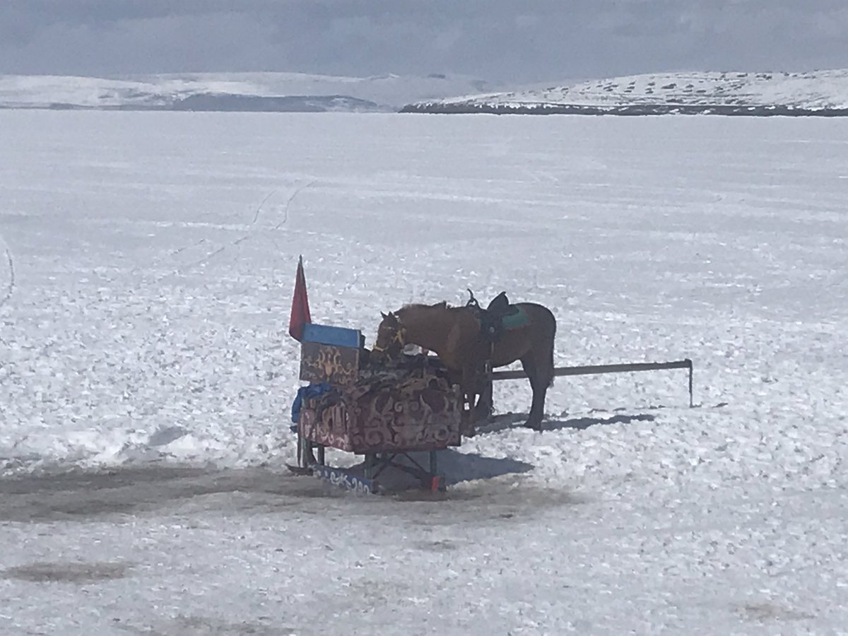 Hanifi Özünal (@hozunal) on Twitter photo 