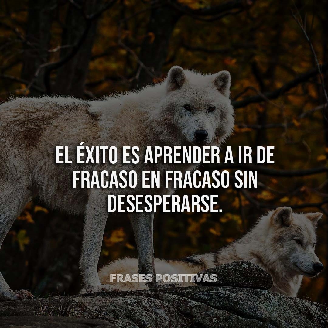 AtreveteMarket1's tweet image. EL EXITO ES APRENDER A IR DE FRACASO EN FRACASO SIN DESESPERARSE.

"Frases Positivas" la aplicación con miles de descargas, 
ahora disponible en PLAY STORE para Android. 
¡¡¡ Descárgatela !!!

play.google.com/store/apps/det…

#exito #frasespositivas #cita #motivacion