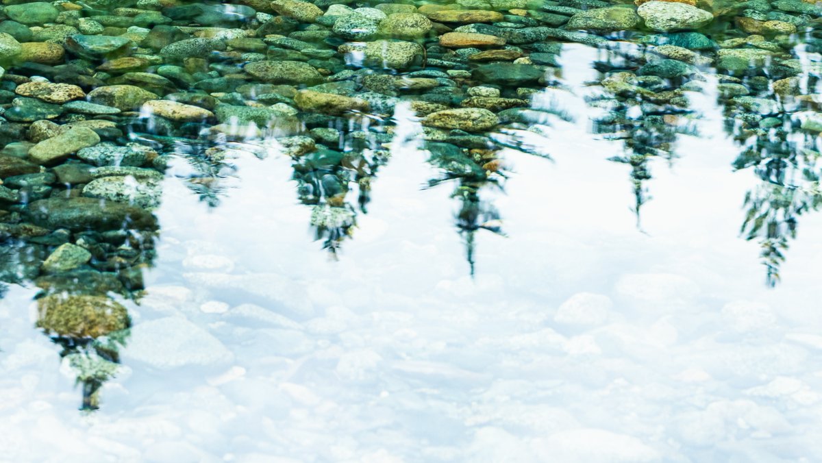ando_money's tweet photo. Look deep into nature and then you will understand everything better. 🌱 #BankWithPurpose #EnvironmentallyConscious #ClimateCrisis https://t.co/7Ec5v1cl9Z