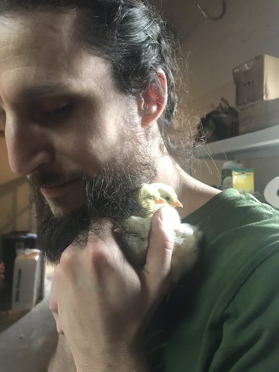msmonicajean's tweet photo. So. Much. Cute. With @IanForrestAdams https://t.co/Sd5BFE9KGV