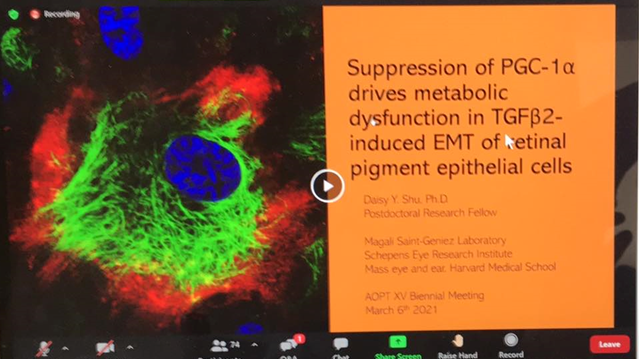 EyeDaisyShu's tweet photo. Honored to present in the AOPT Meeting today in the session moderated by @GMalekLab and Dr. Aprana Lakkarju! Thanks for the great questions! #aopt2021
@aopt15 #scicomm @StGeniezLab A huge thanks to @_BrightFocus for the Honorable Mention Paper Award! π₯³ #scicomm #phdchat #science https://t.co/IwPgXkmqhw