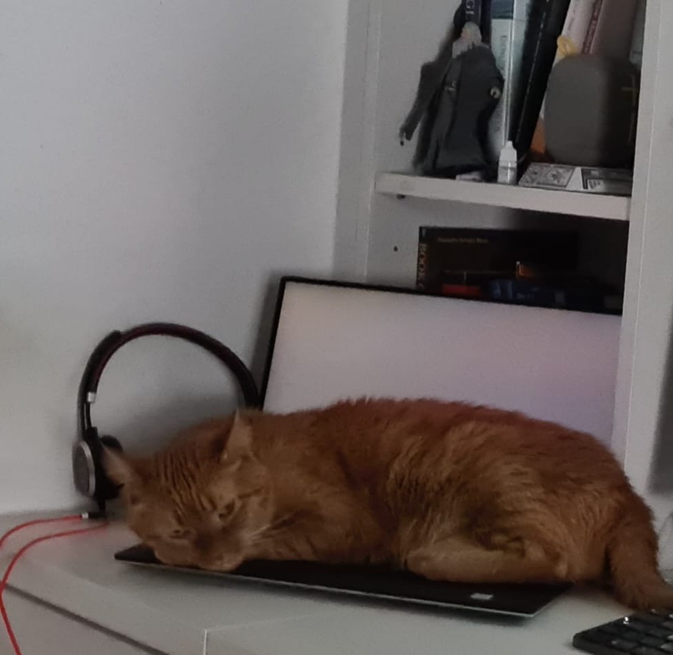 danidby's tweet photo. -Customer: There are 10 people here sitting idly by waiting for you to upload that bugfix
-Me: 😅 https://t.co/bPZRQfuxwP