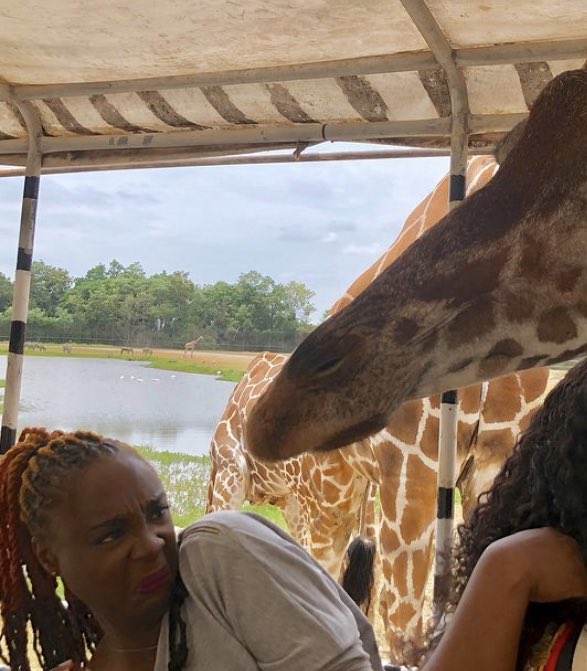 Veronicatheauthor tweet media