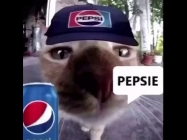 TheAlicopter's tweet photo. @Mira_TheKid what about pepsie https://t.co/d46lO3HGKp
