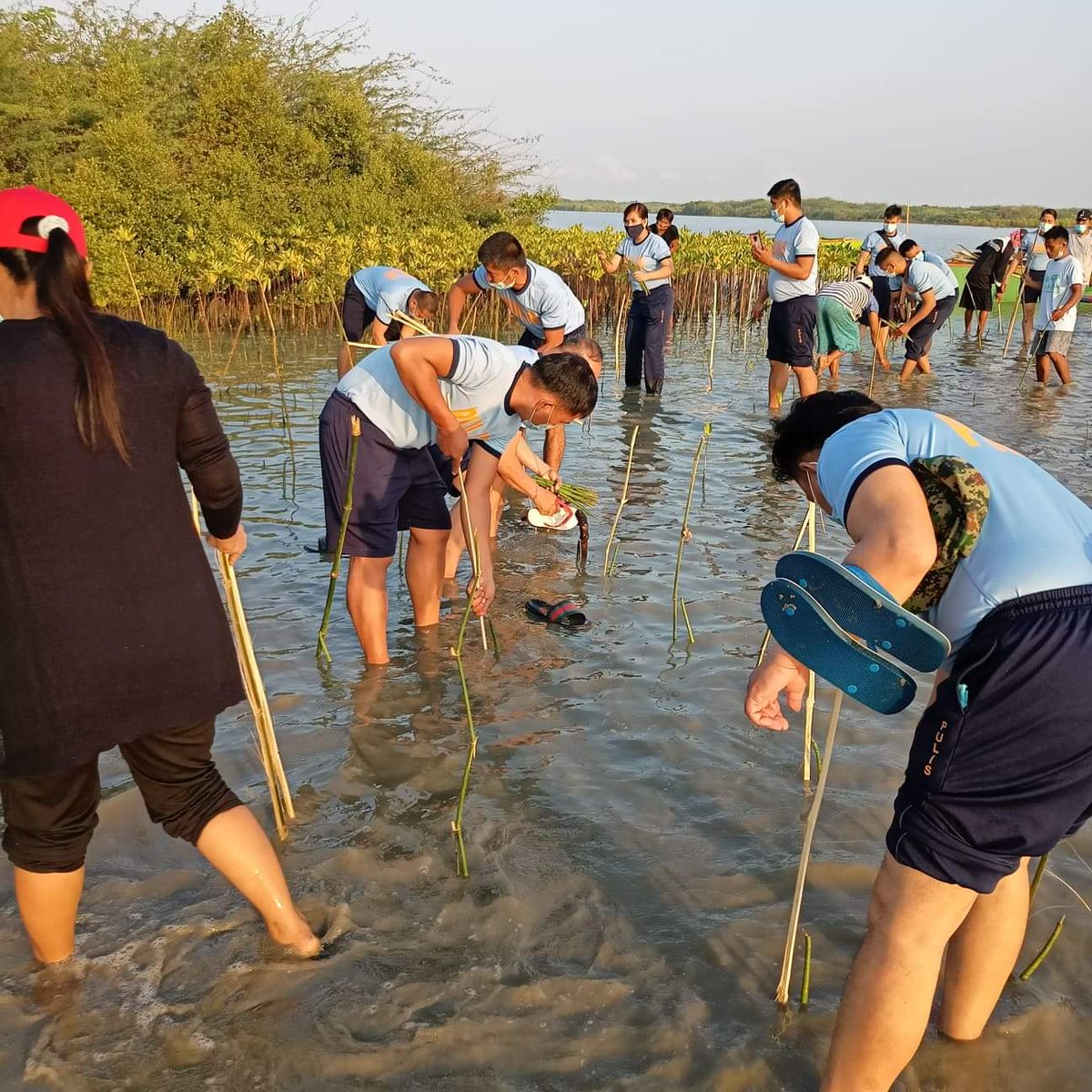 PsBauang's tweet photo. On March 7, 2021 at 6:00 AM Personnel of Bauang MPS conducted mangrove tree planting in partnership with the DENR and LGU held at Bakawan,Parian Oeste, Bauang La Union.
@pnppro1 
@PNPLUPPO 
@pnpdpcr https://t.co/9GJCZCfTB0