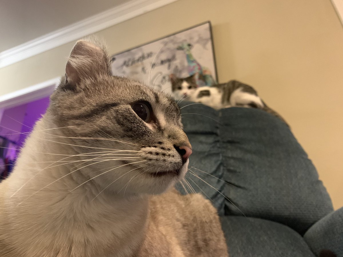 Dai forteen on prozak: bak tu playeeng on bloo chayr withe Myn baybees