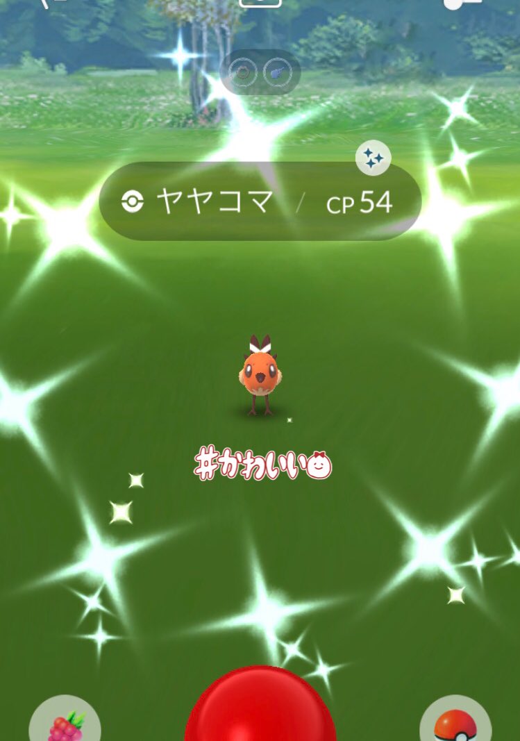 にゃかはろ ポケモンgo青東京 Nikahalo Twitter にゃかはろ ポケモンgo青東京 Nikahalo Twitter