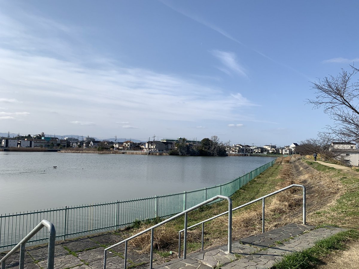 やっと晴れたぞー！