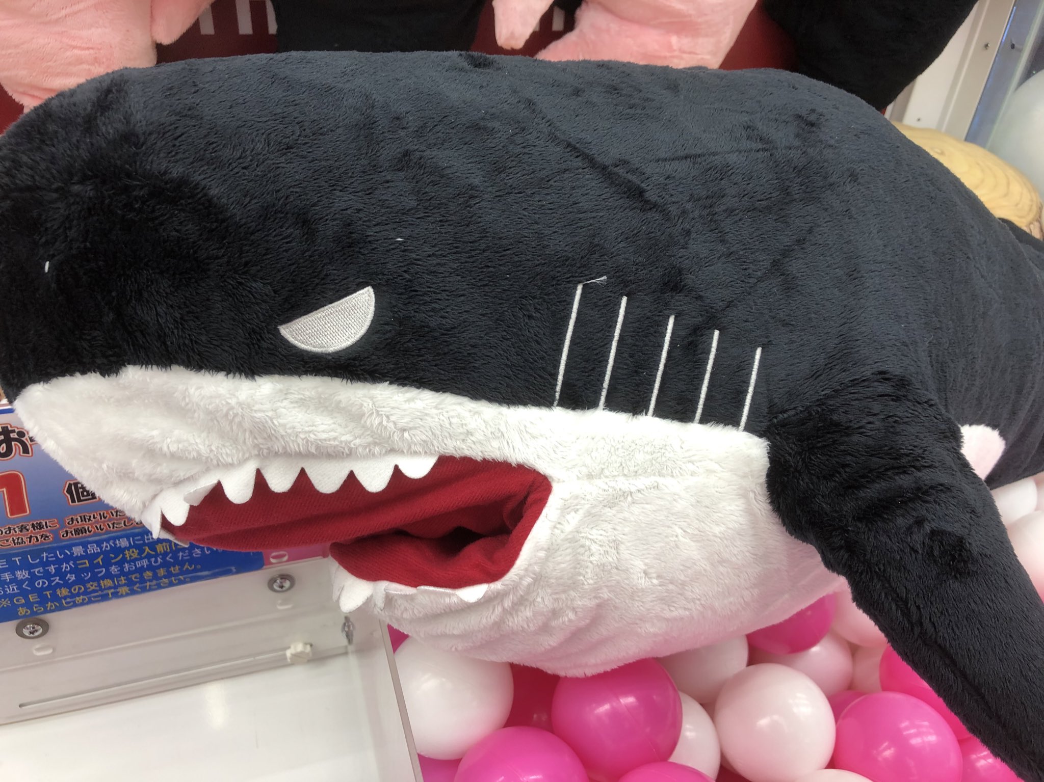 秋葉原hey ラーメン フェア開催中 プライズ 新入荷 ガブっとbig サメシャーク3 可愛いサメのbigぬいぐるみ入荷です 第三弾の今回はピンクのサメ 口に腕とか入っちゃいますよ コトブキヤさん側1階に登場です 秋葉原hey サメ T Co