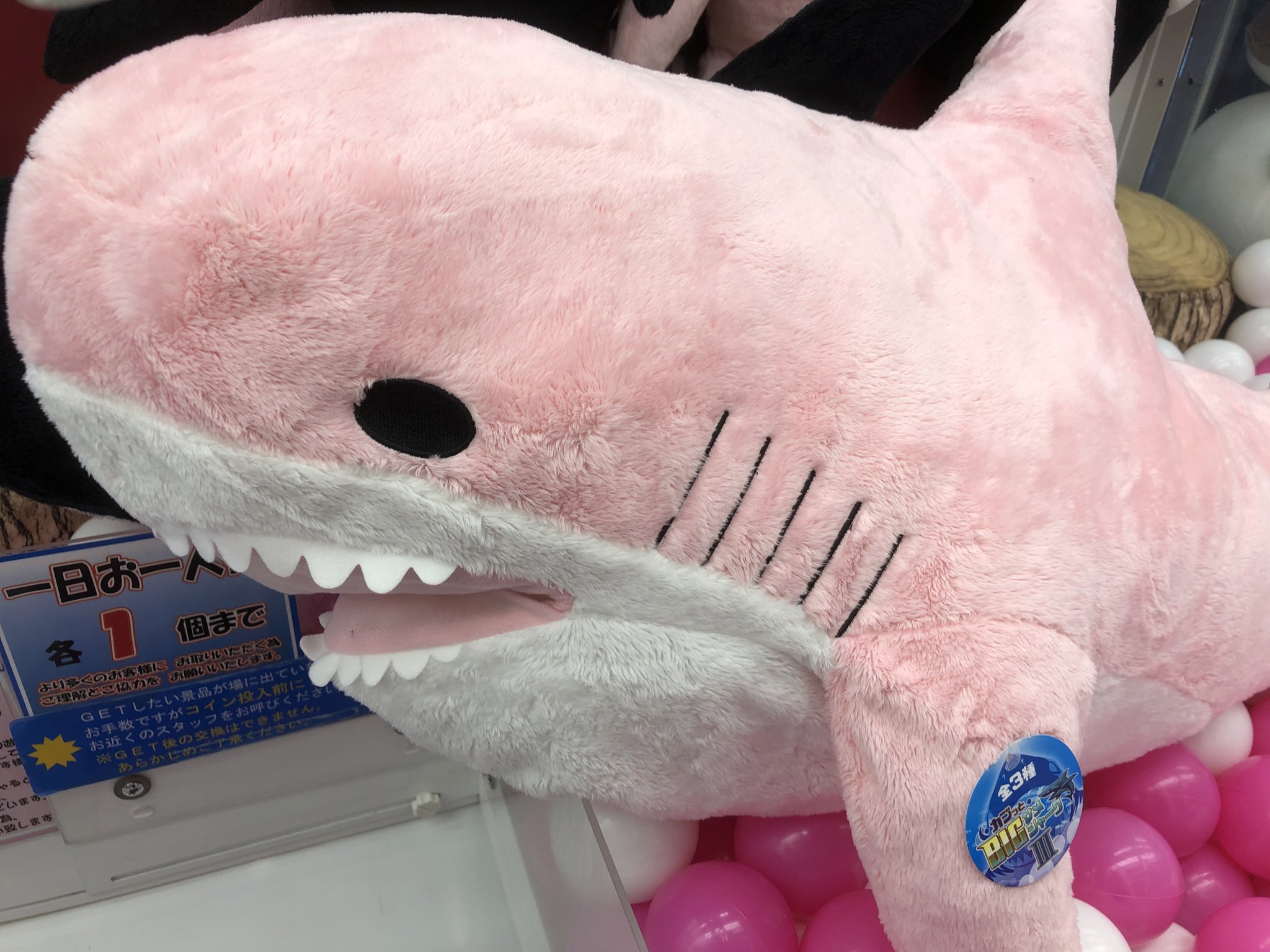 秋 葉 原 Hey 在 Twitter 上 プライズ 新入荷 ガブっとbig サメシャーク3 可愛いサメのbigぬいぐるみ入荷です 第三弾の今回は ピンクのサメ 口に腕とか入っちゃいますよ コトブキヤさん側1階に登場です 秋葉原hey サメ T Co Buhleuq8ng Twitter