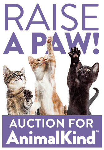 Auction for the homeless kitties -