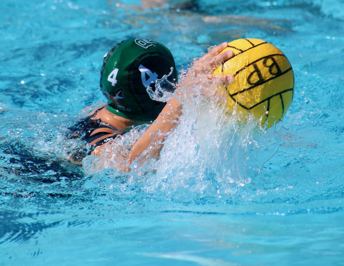 Waterpolo/Swim tweet media