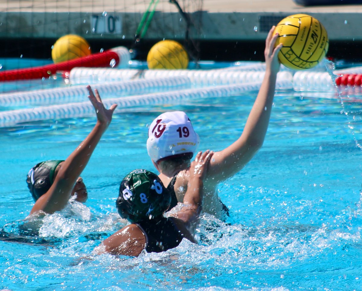 Waterpolo/Swim tweet media