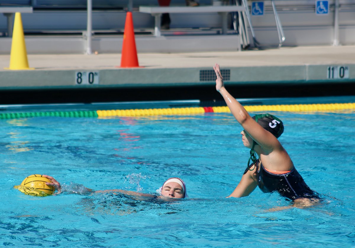 Waterpolo/Swim tweet media