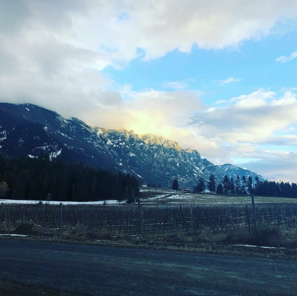 tomgreentree's tweet photo. The mountain set upon the plain
In his eternal chair,
His observation omnifold,
His inquest everywhere. 

The seasons prayed around his knees,
Like children round a sire;
Grandfather of the days is he,
Of dawn the ancestor. 
(Emily Dickinson) https://t.co/QTnNj8bL53 https://t.co/kKeGMEHF0D