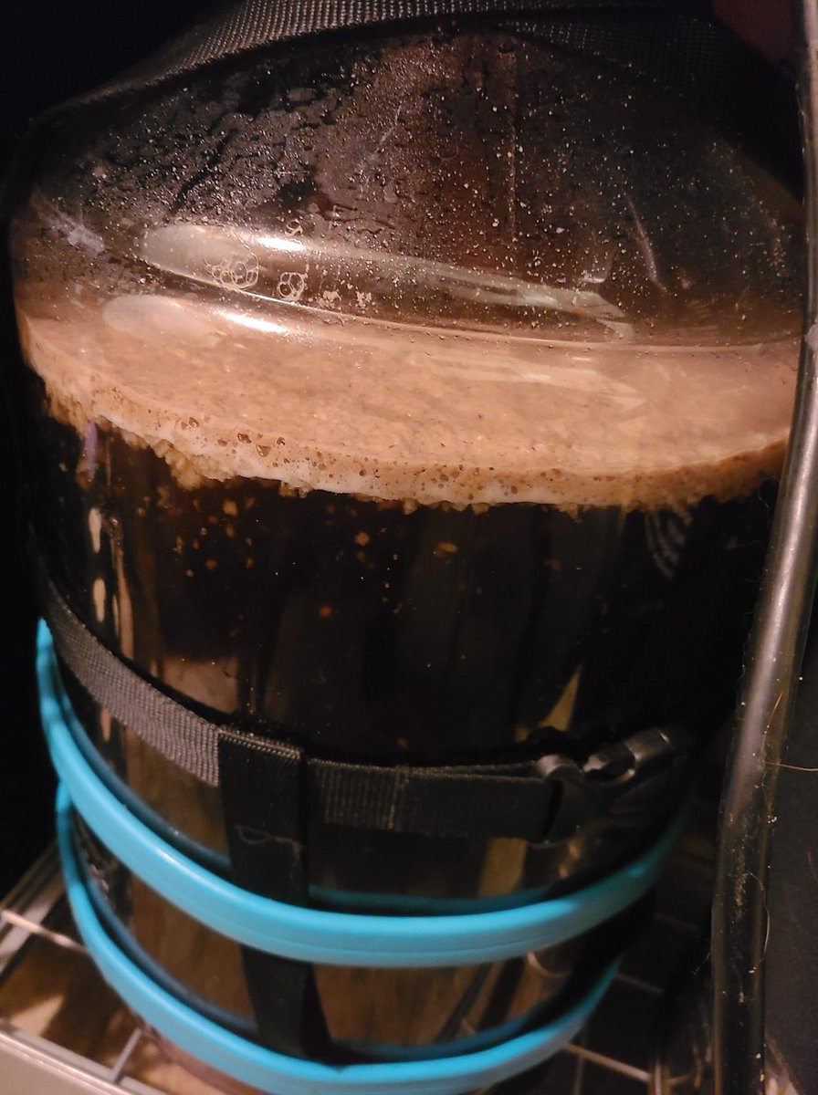 Making a blonde ale for spring,  pitched Voss Kviek yeast at 3:30pm and within 4 hours it's happily working! | photo credit: Donald Everett a.k.a. <a href="/claymore252/">Donald Everett</a> 

#aha #beer #brew #brewing #homebrewclub #homebrewers #homebrewing #hops #rivertownhomebrewers #rhb #westmichigan