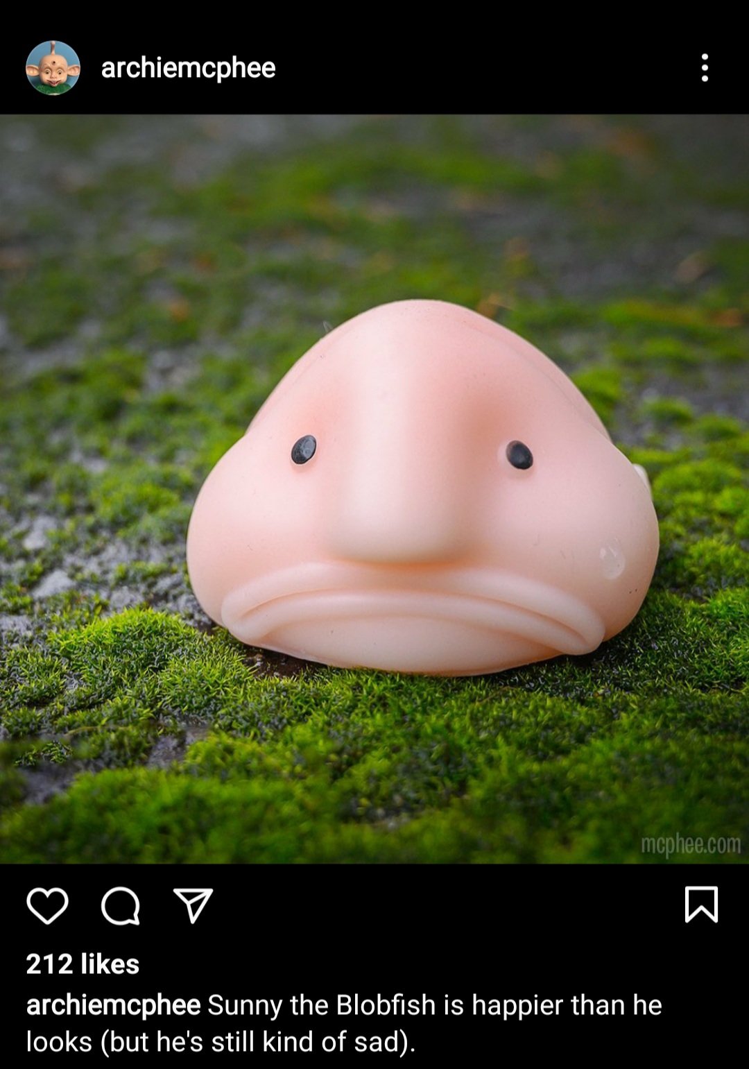 Sunny the Blobfish – Archie McPhee