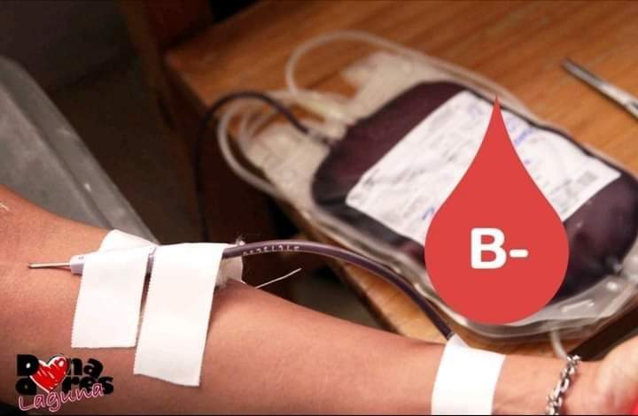 donadoreslaguna's tweet image. Amigos en #Aguascalientes ⚠️

URGEN donadores de sangre tipo B NEGATIVO para Victor Valdes Campos, en el cuarto 314 del #HospitalHidalgo con solo 4 hrs de ayuno.

Gracias por ayudarnos compartiendo para juntos encontrar los donadores de este difícil tipo de sangre.