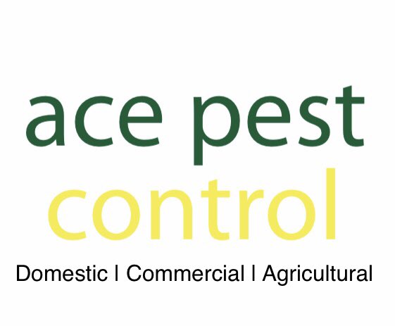 acepest1's tweet image. Norfolk’s answer to pest problems #35yearsofexperience #domestic #commercial #agricultural #norfolk #acepestcontrol norwich-norfolkpestcontrol.com