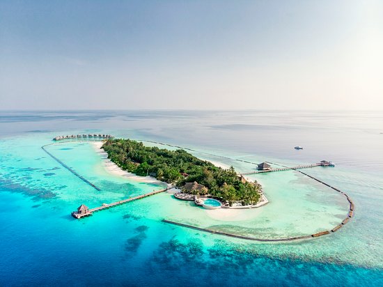 20% Additional discount on room rate at Komandoo Resort Maldives @KomandooResort 

Bedsmore.com info@bedsmore.com @BedsMorecom  

#Komandoo @Maldives #KomandooResort #Maldives #Komandoo_Resort #KomandooMaldives #Komandoo_Maldives

bedsmore.com/en/hotel/detai…