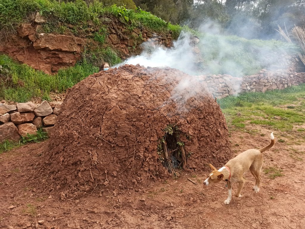 Ahir a cal Vidu de Begues ens van fer una demostració d'encesa d'una carbonera, apilament de llenya tapada amb llentiscle verd i terra, amb la intenció d'obtenir carbonet vegetal com  a fertilitzant de les terres.
Aquesta pràctica va perdurar a Catalunya fins a la dècada dels 50.