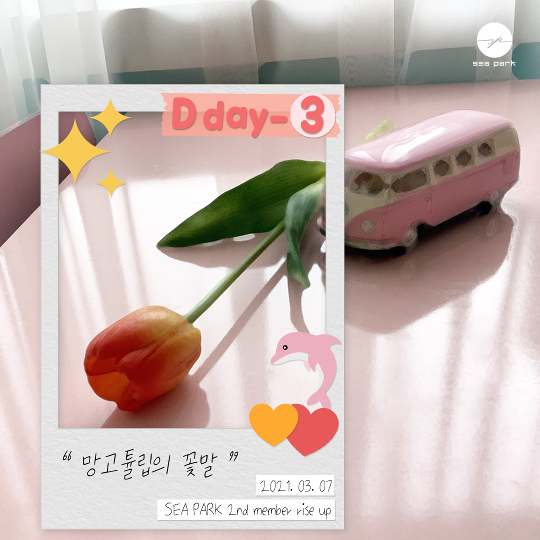 SEAPARKofficial's tweet photo. 금일 6시! SEA PARK의 두번째 멤버가 드디어 공개됩니다. 유투브 공식 채널을 통해 확인해주세요🥰
https://t.co/myMsf4zFQw 두근두근>_< 미리 구독+��아요+알람! https://t.co/ycmQmGQDah