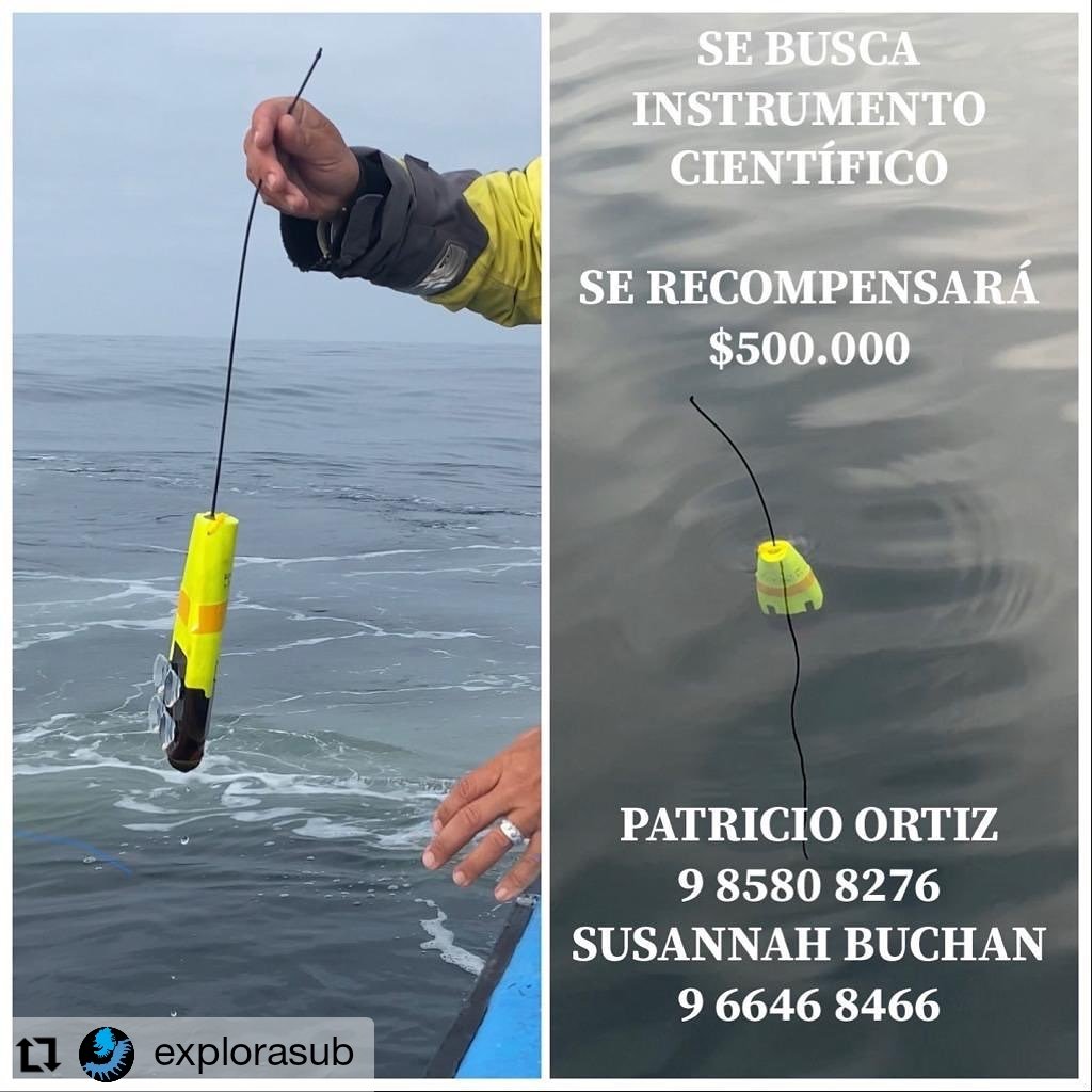 ADEFAS2001's tweet image. Favor difundir, + info en instagram.com/p/CMGdagkFEGa/…