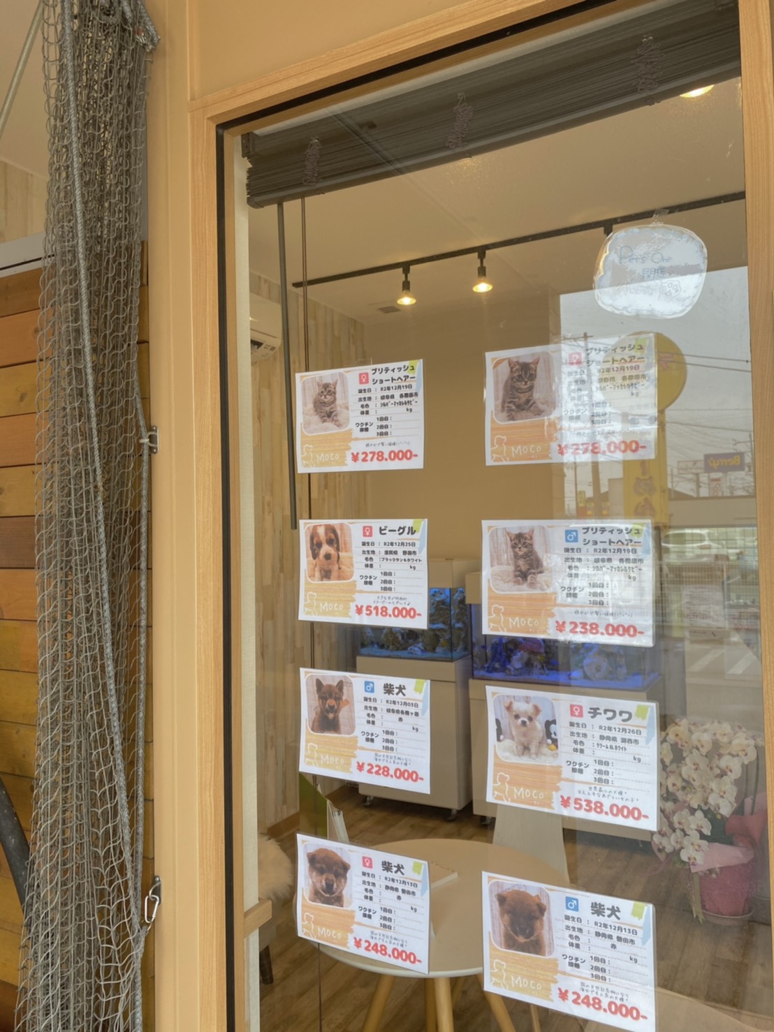 ペッツワン Twitter Search Twitter