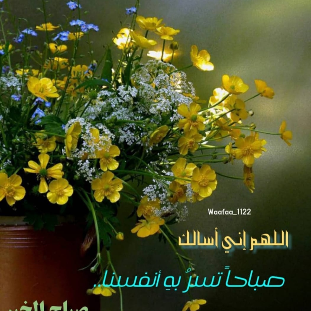 abuaymn100's tweet image. 