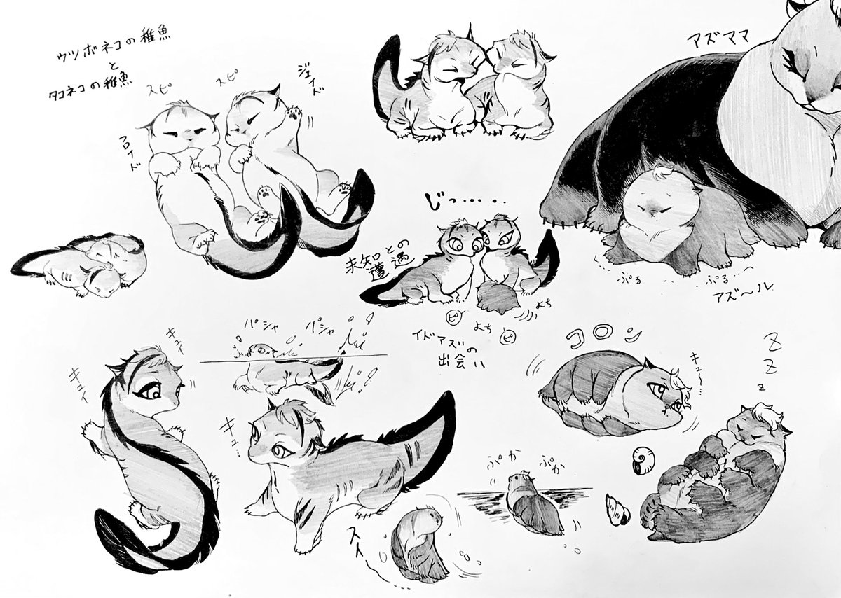 ウツボネコとタコネコの稚魚
ベビーのイドアズ 