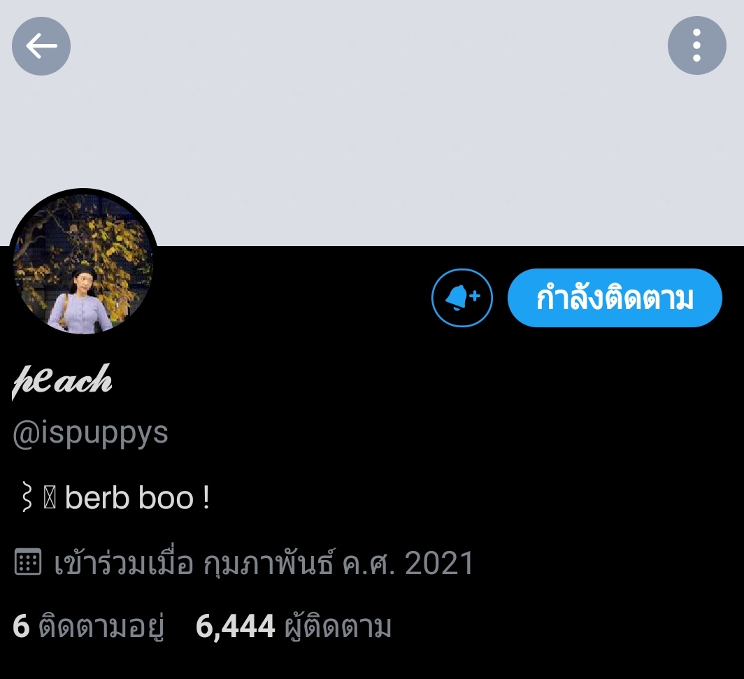 🐾 tweet media
