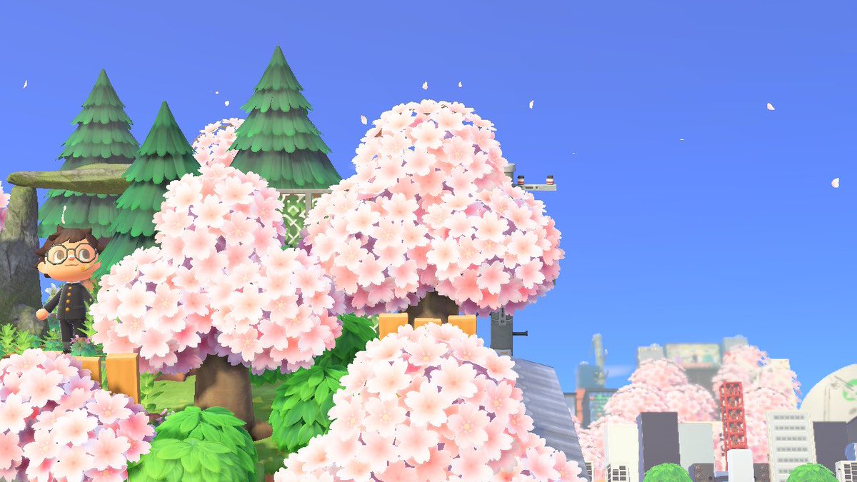 2ndAdulthood's tweet photo. Observing #ACNH #AnimalCrossingNewHorizons 
#あつ森写真部 #あつまれどうぶつの森 
#島クリエイター #あつ森レイアウト https://t.co/4afTiEAbI6