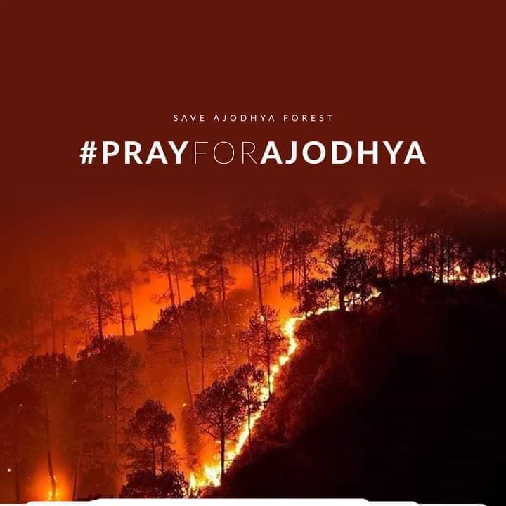 Manas39080286's tweet photo. Please save our Ajodhya. Doesn't anyone pay attention to it? The forest has been burning for the last four days and no one has a role to save it.
@narendramodi 
@PMOIndia
@jdhankhar1 @moefcc @UNICEFIndia @UNEP @ABPNews @republic @ZeeNews @DM_Purulia @purulia_bjp https://t.co/Ku2eQSHKSw