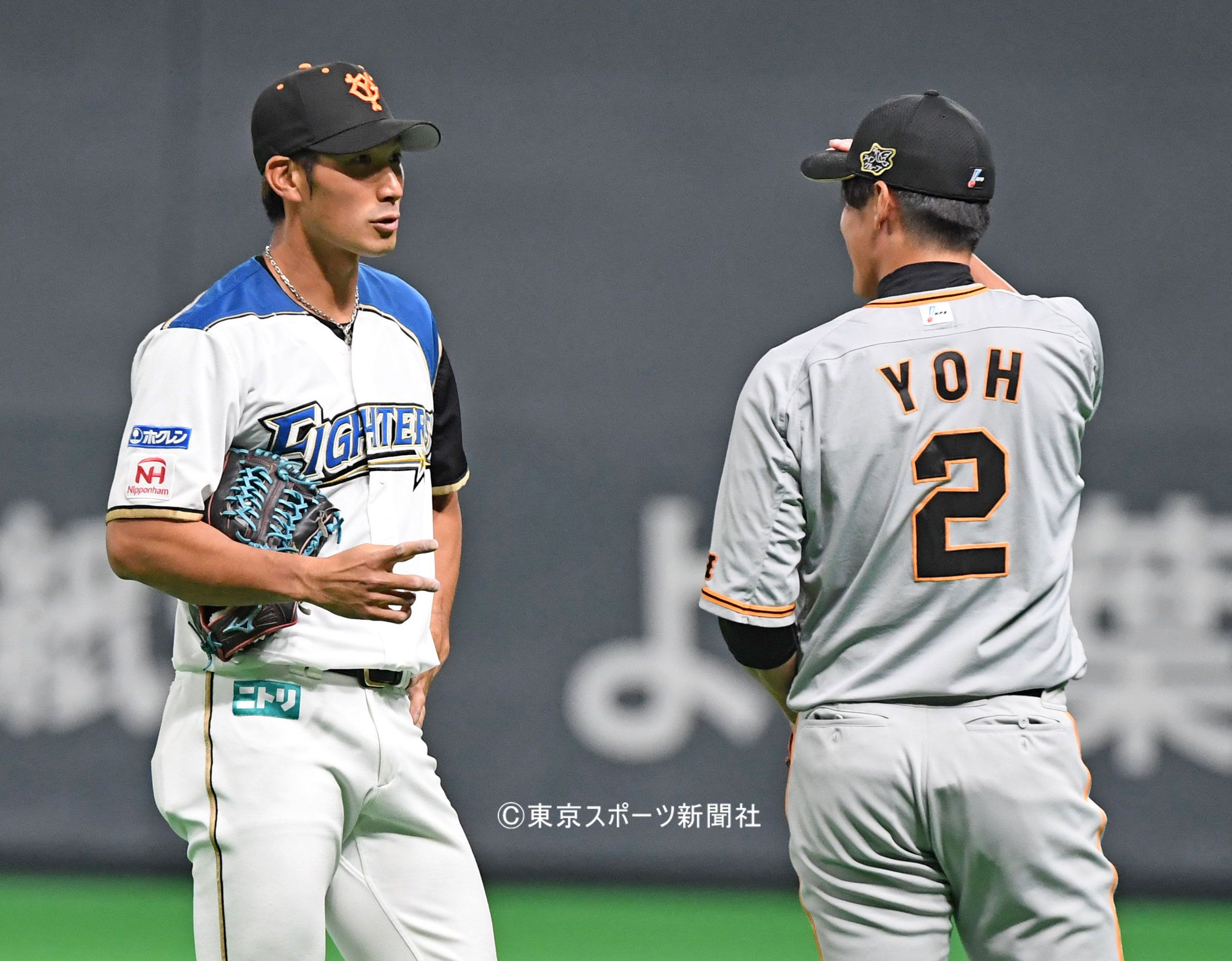 北海道日本ハムファイターズ 読売ジャイアンツ 陽岱鋼 NPB 逆