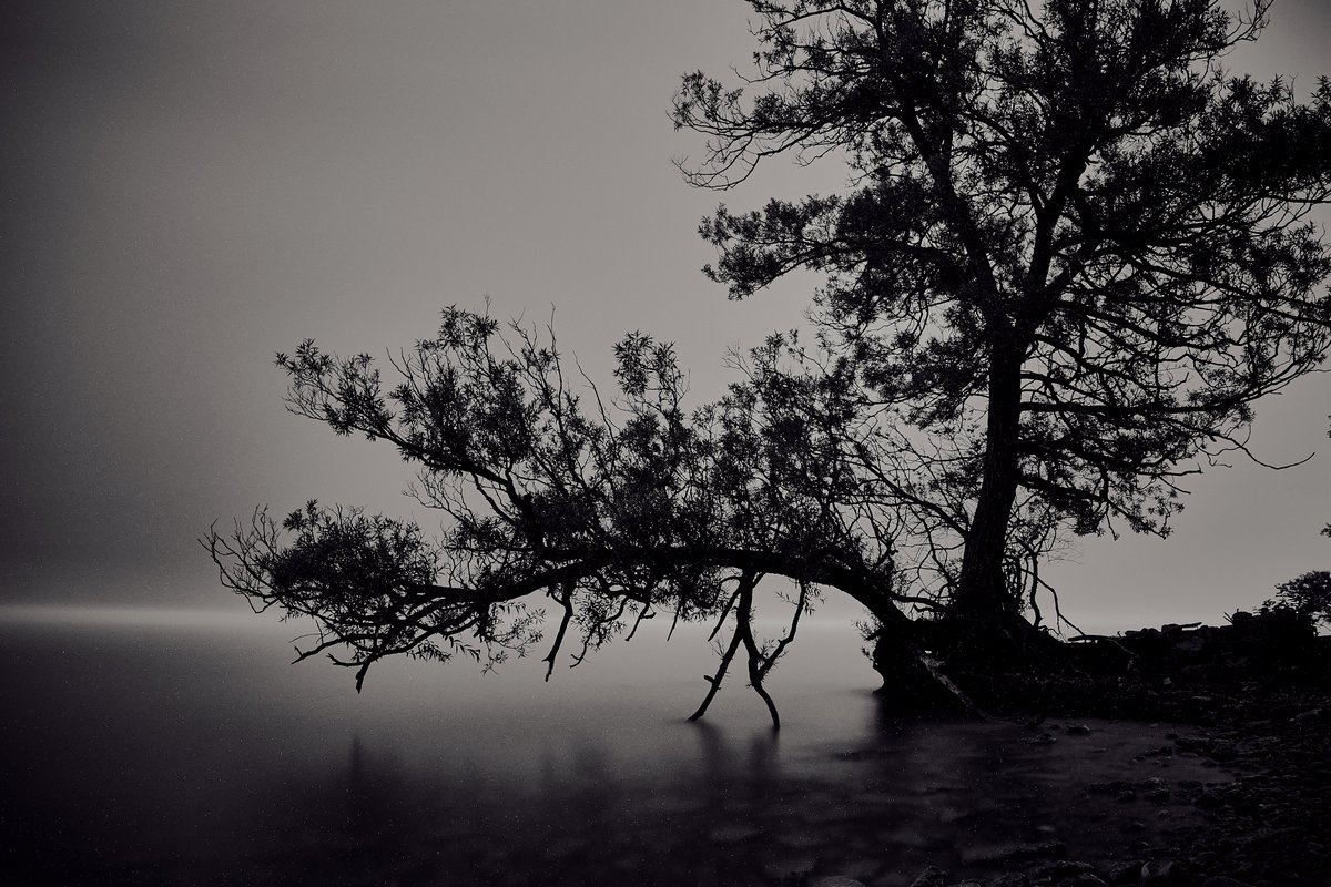 Christopher Bailey tweet media