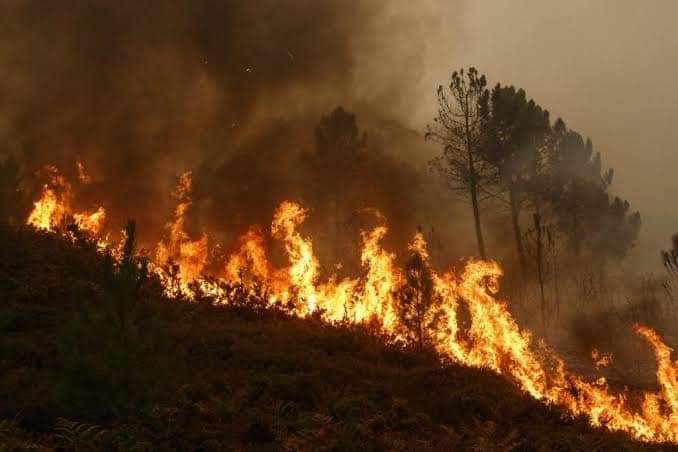 Manas39080286's tweet photo. Please save our Ajodhya
This fire will take away everything on Ajodhya from us
#PrayForAjodhya
#stopforestfire
@narendramodi @PMOIndia @AmitShah @moefcc @DM_Purulia @MamataOfficial @UNICEF @WHO @UNEP https://t.co/ROWM7dcVdX