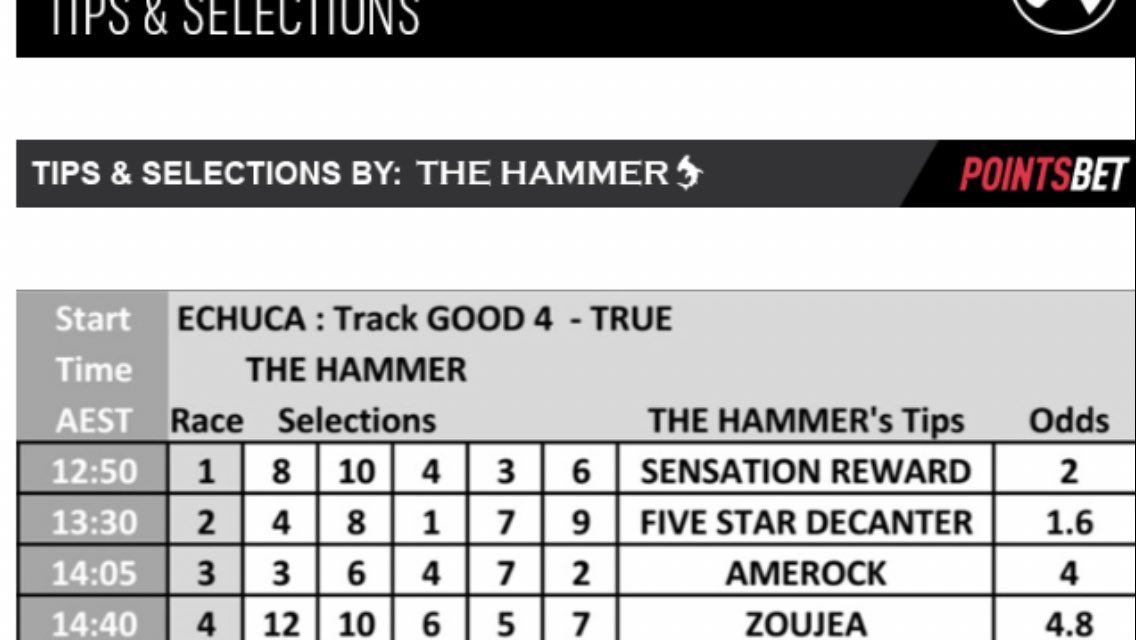 Thehammer_ben's tweet photo. Great start to Echuca Cup Day with 3 from 4 winners and a second in the 3rd best so far was rc4 ZOUJEA to strong to the line with Harry Coffee on board. Join now at https://t.co/mJODJYcE47 https://t.co/UXjkntaoat