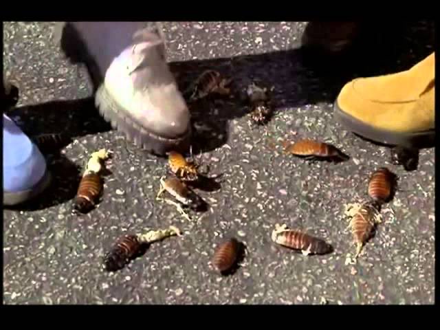 TheSilentG's tweet photo. I just realized what this reminded me of. #TheOnlyGoodBugIsADeadBug https://t.co/lHywcBy01O