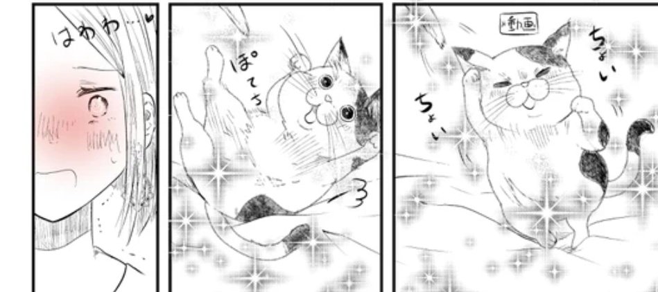 漫画デイリー12位でした。ありがとうございます!
【創作】僕の奥さんはちょっと怖い #pixiv https://t.co/J6j27CXBTh 