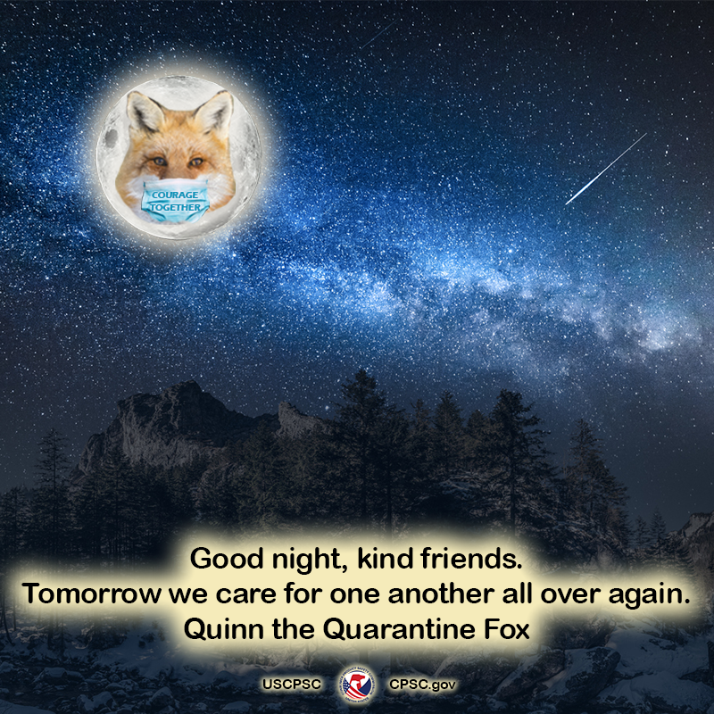 A fox in the moon over a snowy mountain. The fox is wearing a mask that says, "courage together." The text reads: Good night, kind friends. Tomorrow we care for one another all over again. - Quinn the Quarantine Fox.