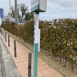 ツイートに含まれる画像