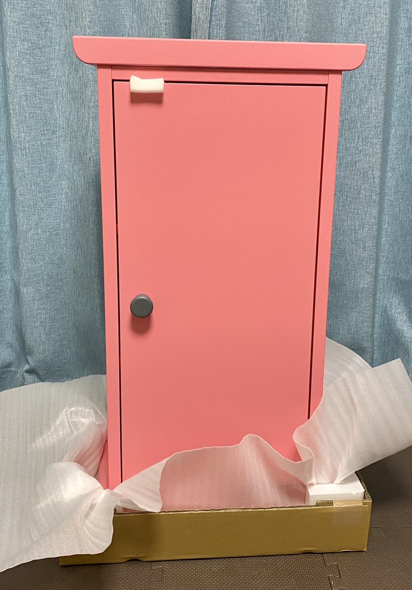 どこでもドア型本棚届いた！ 今日は設置する時間が無さそうなのと